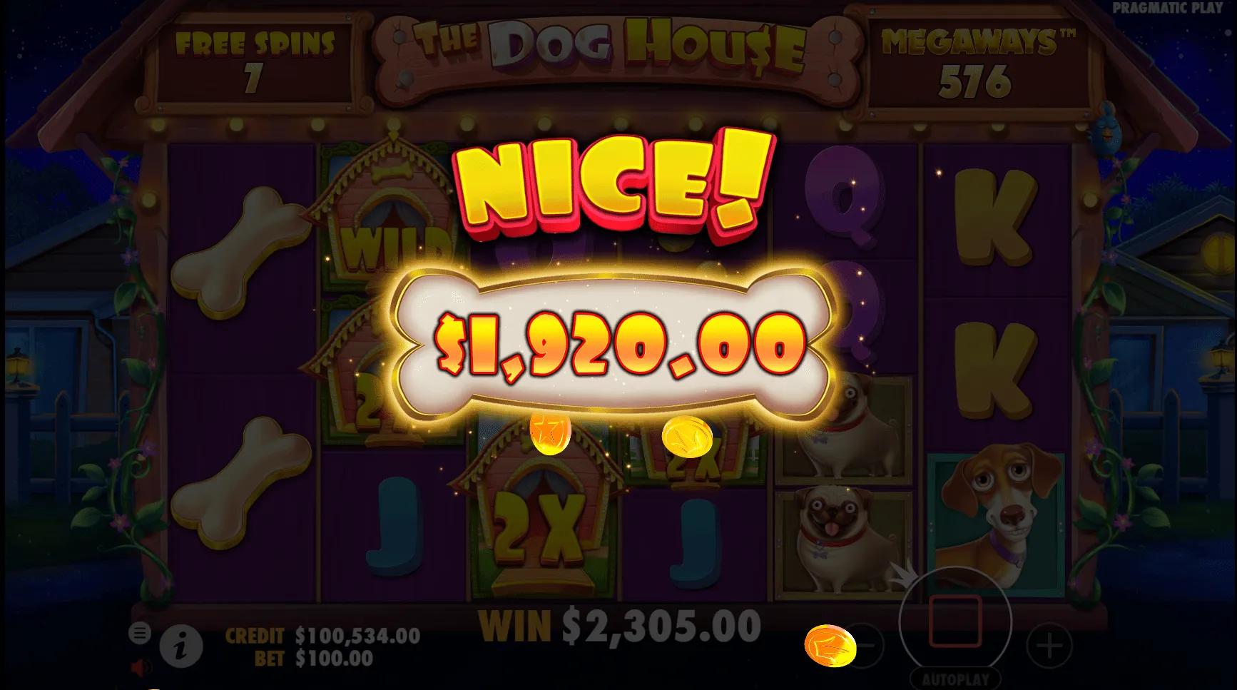 The dog house 6