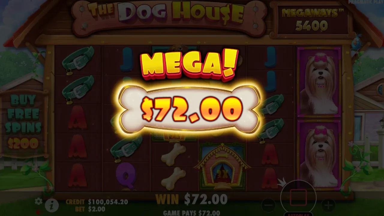 The Dog House Megaways RTP